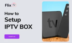 Setting Up Your New IPTV Box
